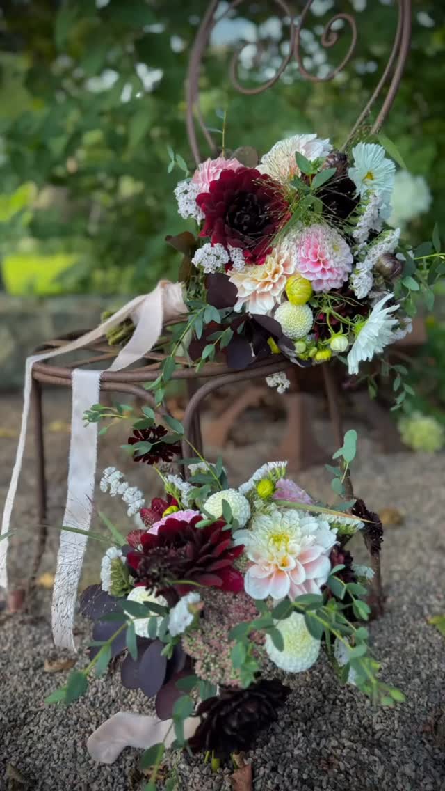 ~Helgen~
Ännu ett vackert bröllop har gått av stapeln på @ronnaslada 💕💍 Vilken fin dag vårt brudpar fick!
Nu laddar vi för kommande helgs bröllop.
#rönnåslada #runevadstradgard #bröllopsinspo #bröllopsfest #bröllop #weddinginsp #weddingidea #wedding #blomsterdekoratör #egenodlat #snittblomsodling #snittblomsodlare #blommorfrånminträdgård #veckansvackraste #veckansbröllop #brudbukett #tärnbukett #blomsterisäsong