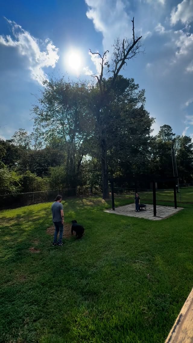 recalls with rottie boy and mg son levi