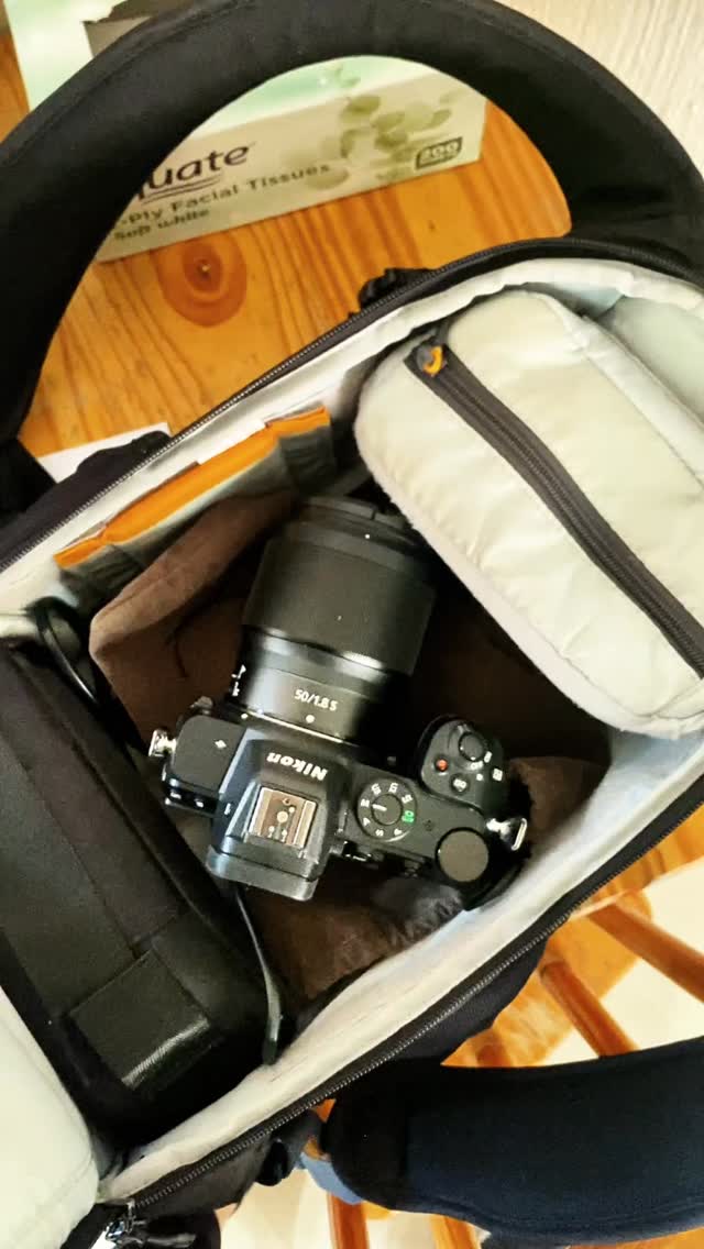 School photo day!!!!
Full morning of these gorgeous kiddies doing their best to get smiling photos for their parents 🥰 Such sweethearts!
Sometimes we got to climb between the flowers for the best spot and light! 🌼 And always try have a little fun with them, like ending off with photos on the seesaw!!!
School photos don’t have to be stiff and boring - beinng looked at once and then put in a drawer to live! I want to creat photos of your child that you will proudly display, and they have fond memories of taking those photos at school! ❤️
#schoolphotos #johannesburgschoolphotos #jhbschools #schoolphotographer #jhbschoolphotos