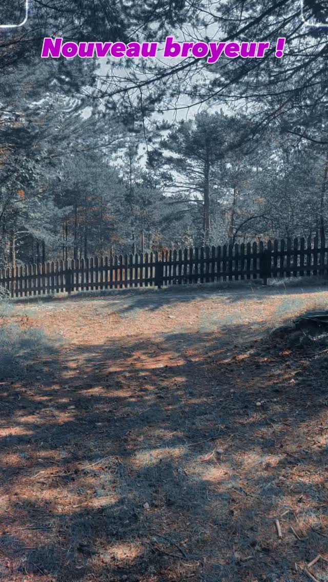 #arbreandco #soinsarbres #vermeerkifour #vermeerindustrial #vermeerequipment #arboristegrimpeur #valais #noblecontrée #abattage