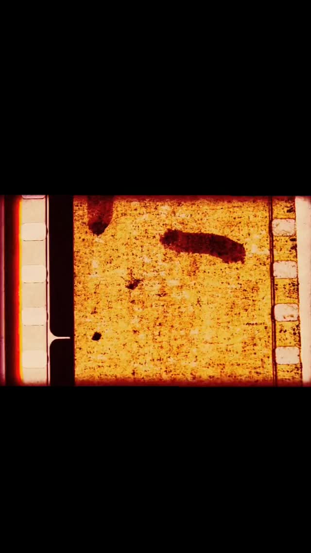 ✨Okayyyy we back✨ Season 6 of Flourish & Flow is officially underway on Rogers TV 📺 and we couldn’t be more excited!
👀 Here’s a little sneak peek at some of the incredible faces, businesses & sponsors who are part of this season. Each guest brings such a powerful story—and we can’t wait to start sharing them with you this fall. 🍂
See a guest you know? Show them some love below in the comments! ❤️👇
✨ Guests:
@leverre_osteopathy @thedanireid @counsellingandplaytherapy @drspiroioannidis @kuresoul @melublansky @alignyogaandpilates @inhale.exhale.move ✨
🙏🏻 Huge thanks to our amazing show sponsors:
@escapessalon @hometownstyle_hts @bresfreshmarket
#rogerstv #findyourflow #flourishing #localtv #swontario #yogaoffthemat #wholeheartedliving #pillarsofhealth #inspiringstories
#canadiantv #canadiancreators #ontariotv #supportlocalontario #canadianstories #canadianbusiness
#wellnesstalks #healingjourney #oxfordcounty #nervoussystemhealing #london #tillsonburg #woodstock #inspiringconversations #storytellingmatters #realpeoplerealstories #findyourvoice #inspiredliving #wholeheartedstories
#communitytv