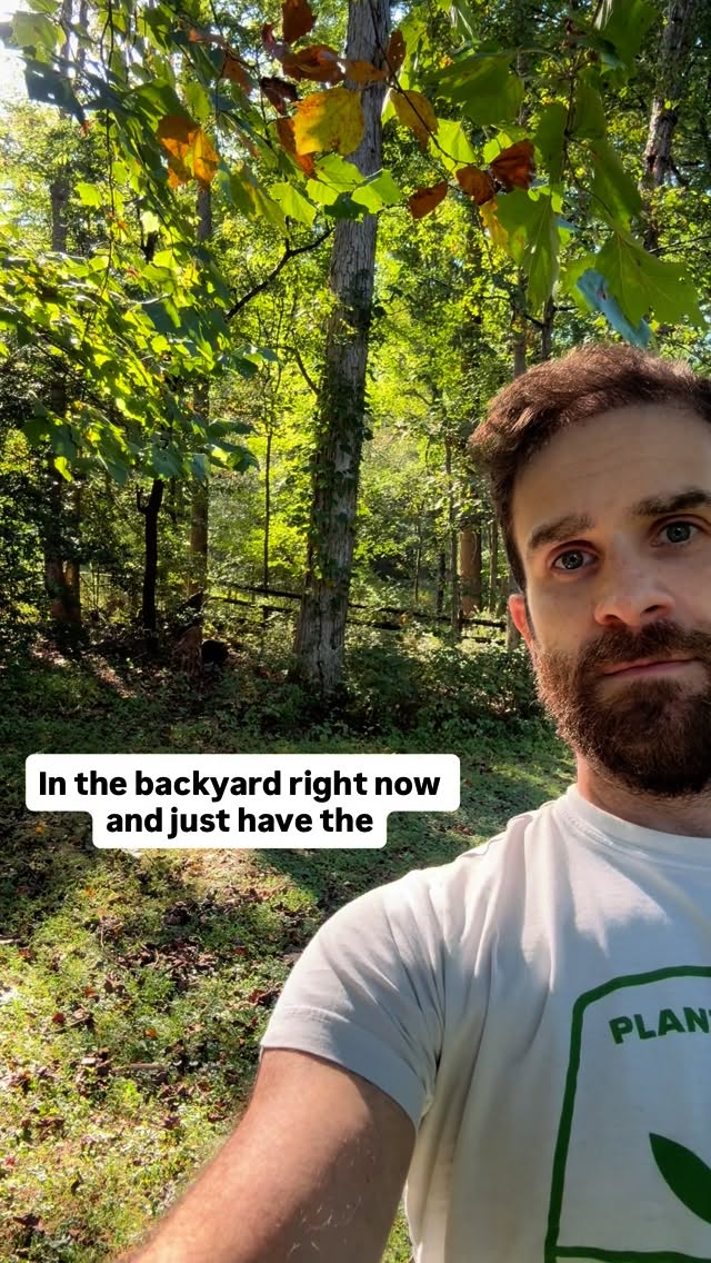 Another day, another backyard visitor 🦌✨
#vegan #animalrights #friendsnotfood #veganfortheplanet