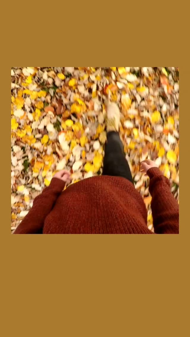 🍂🍁🍂Hoera! Herfst is bijna hier!🍂🍁🍂
🍄 Boek nu een overnachting tussen 1 oktober en 18 december en geniet deze #herfst van 20% korting op de nachtprijs van een van onze appartementen.
🇬🇧🍂🍁🍂Hurray! Fall is almost here!🍂🍁🍂
🍄 Book now between October 1 and December 18 and enjoy this #fall with a 20% discount on the nightly rate of one of our apartments.
#sintpietersvoeren #vakantiehuisvoeren #beautifulview #wandelparadijs #naturelover #natuur #voeren #limburg #voerstreek #wandelen #hardlopen #fietsen #millefleurs #vakantiehuis #vacation #rentapartment #vakantieverblijf #vlaanderenvakantieland #ilovelimburg #altijdlimburg #belgium #netherlands #visitlimburg #wanderlust #bronnenwandeling