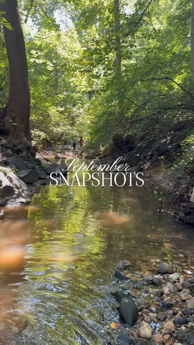 Do you remember⦠the joy of September? š The hallways are full again, music is being made, art is being created, the creek is being explored, and good books are being read. There is so much cheerful, hard work to be doneāand what a gift it is to begin another year together.
#classicalchristianeducation #classicalchristianschool #truthgoodnessbeauty #alexandriavirginia #heartsoulmind #september