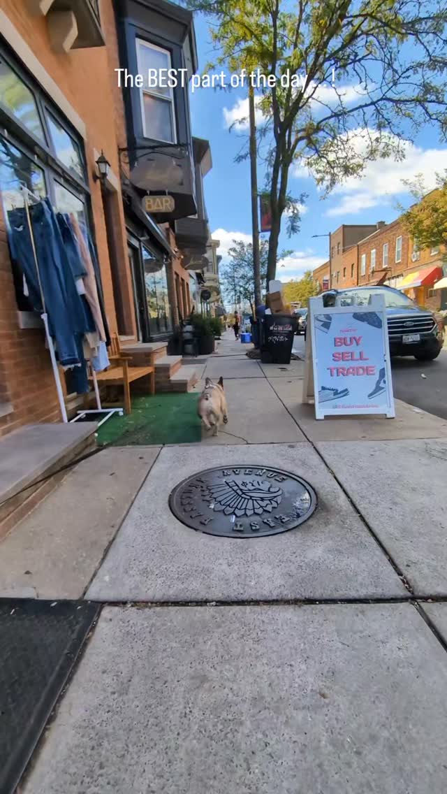 Boba knows the best places on the Ave!