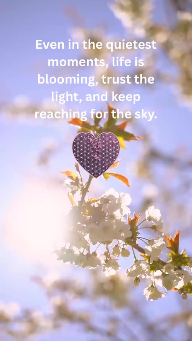 🌱 Even the quiet holds miracles.
☀️ Trust the light, trust your journey.
🌸 Keep blooming, your sky is waiting.
#bloomwithgrace #trustthejourney #keepgrowing #positiveenergy #shinebright