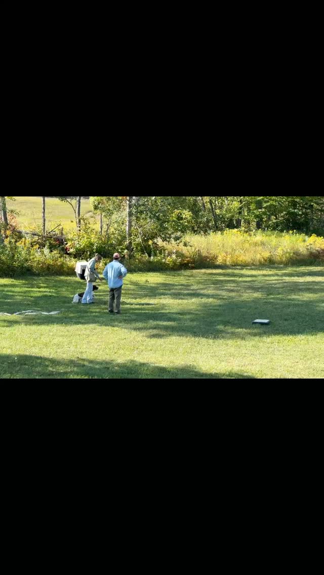 Fun training moments with Gracie and her spaniels.