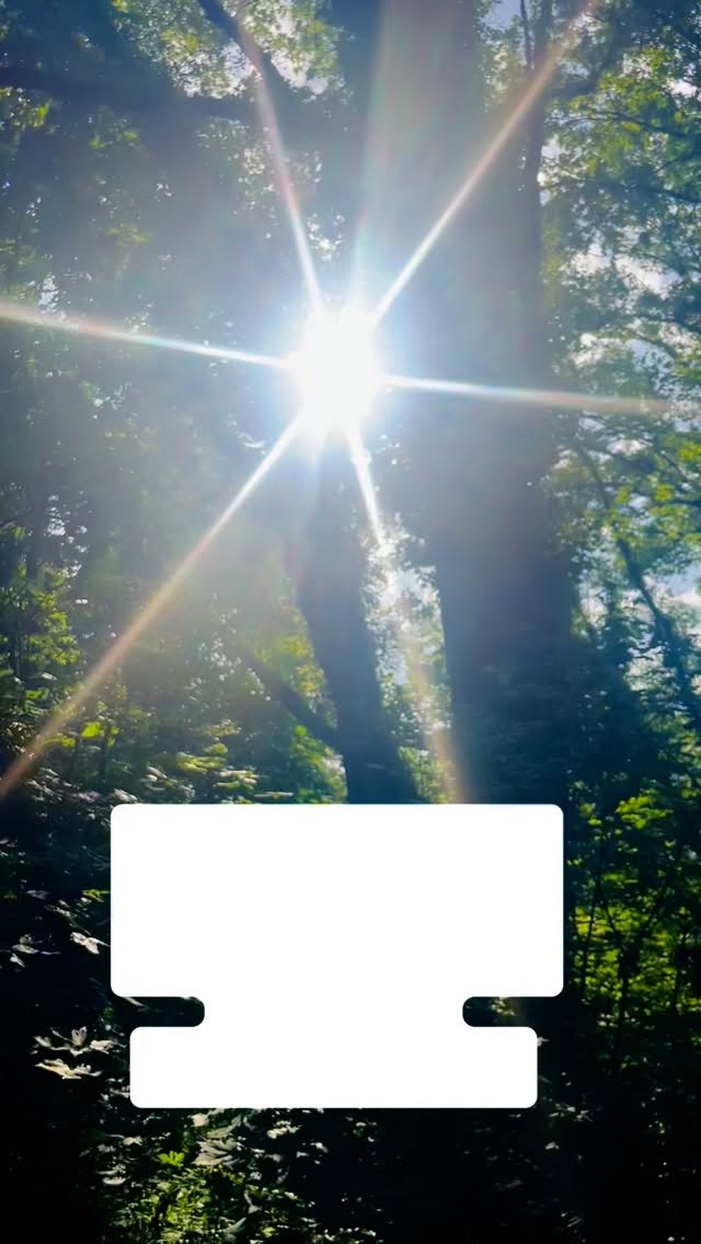 DÉBLOQUER LES NOEUDS QUI PARALYSENT VOS ÉNERGIES ?
❤️
Pensez à la réflexologie @ressource.aurore
La réflexologie plantaire, c’est comme une pause bien-être pour vos pieds, votre corps et votre esprit. Imaginez-vous que chaque partie de vos pieds est connectée à un organe ou à une zone de votre corps. En massant ces points spécifiques, on peut libérer des blocages, améliorer la circulation sanguine et favoriser la détente profonde.
c’est une méthode naturelle, accessible, et pleine de bienfaits pour votre corps et votre esprit. Alors, si vous cherchez à vous sentir mieux, n’hésitez pas à prendre rendez-vous avec moi à Rennes. Je serais ravie de vous accompagner vers un mieux-être, un pas à la fois. 🔆🔆🔆
👋🏾 A bientôt
Aurore Courcoux
Prise de rendez-vous directement depuis mon site ou via PLANITY
Pssss : j’adore me ressourcer dans la nature. Voici un beau chêne pour vous donner la force. Ils sont nombreux à la Prevalaye à Rennes 🔆. Douce journée
#rennes #reflexologieplantaire #reflexologie #vitalité #reflexology #bienetre #massage #medecinedouce #rennesmaville #detente #octobre2025 #lymphaticdrainage #bretagne #energie #nouvellevie #lavieestbelle❤️ #planityofficiel #planity