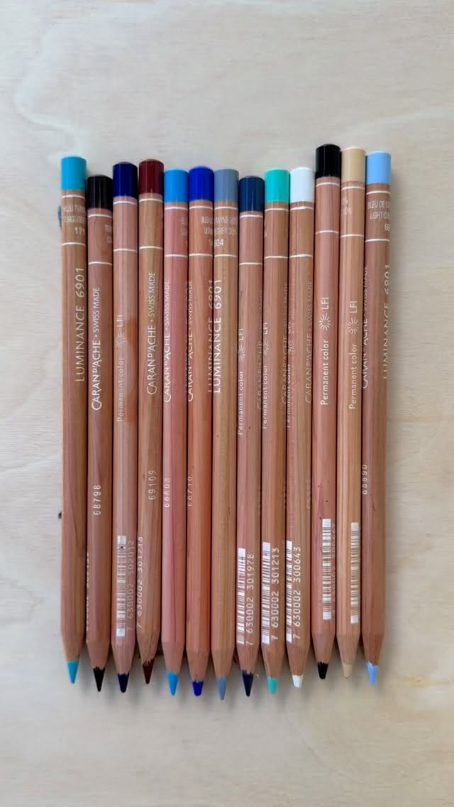 Do I have a favourite bird? Maybe 🩵#carandache #luminance6901 #illustratorofinstagram #australianartist #australianart #luminancepencils #australianbirdsofinstagram