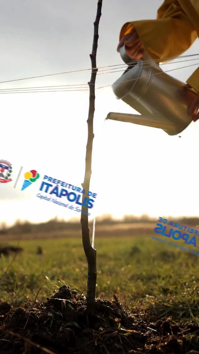 Estamos prontos para plantar o futuro disk árvore
3273-9080
#diadaarvore #esg #itapolis