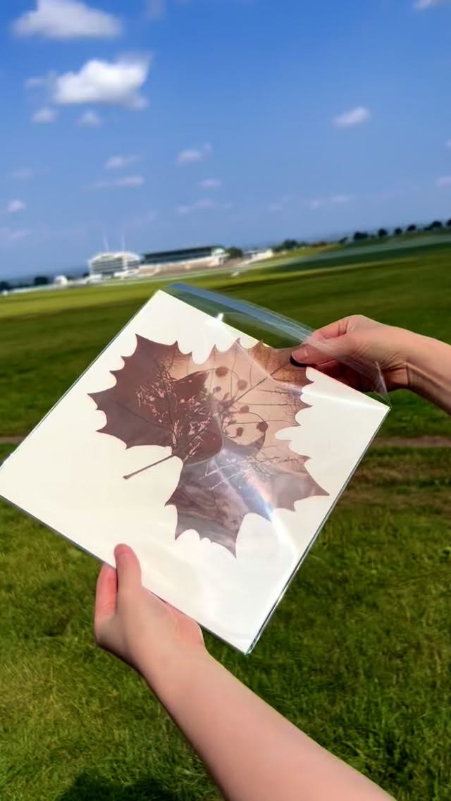 Add a touch of panda magic to your space. 🐼🎋🎋🎋🎋🎋🎋🐼 #ArtFromNature #BotanicalArt #MindfulMoments #LeafArt #Panda