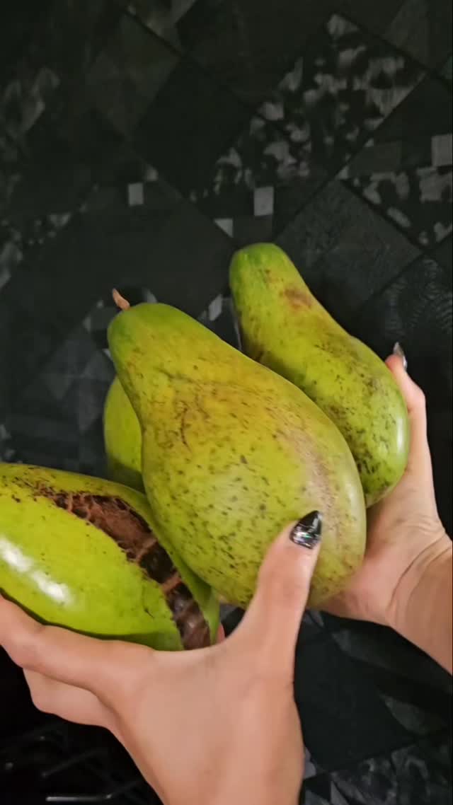 Avocado soap!!!!