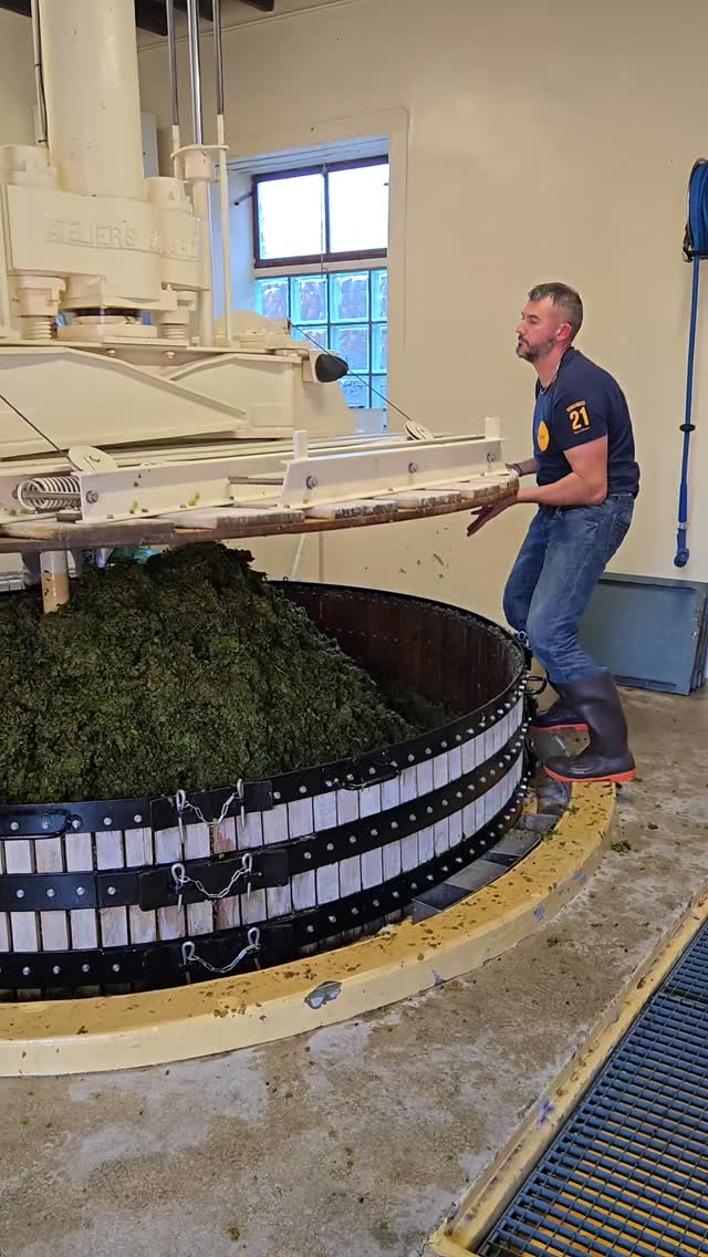 Grapes harvest! Ready to press.
#toursinchampagne
#tourwithlocals
#besttours #winetours #champagne #champagneexperience 
#champagnelover #champagnelovers
#champagneaddict #champagne
#private #privatexperience #honeymoon #champagnesecret #champagnemoments #champagneprivateexperience #luxurychampagne #finechampagne #champagneguide #champagnelife  #champagnetasting #winelover #winelovers #winetasting  #wineblogger #winedestination #winetravel #winetraveler
#thechampagnewineclub #champagneluxurytrip