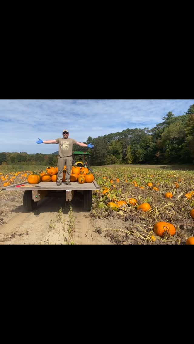 Smith Bridge is closed until 3:00 today 9/18. But we’re open until 5:30!
Coming from the east, detour on Fairgrounds Road. Call if you need directions.