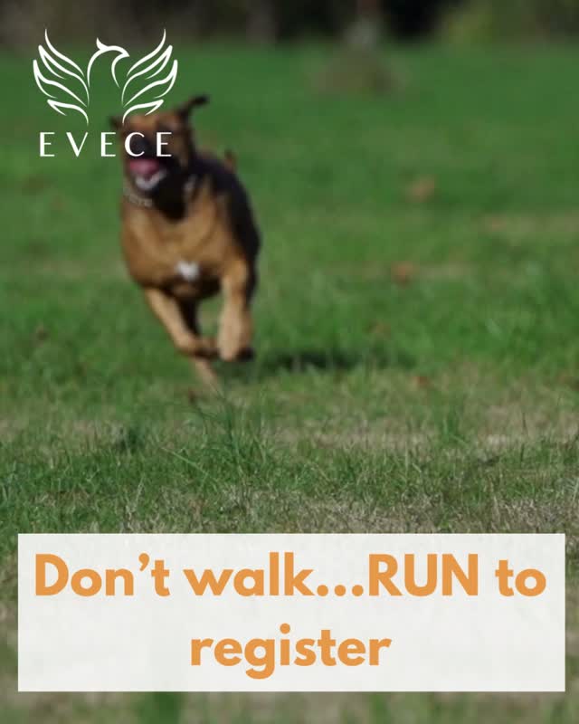 This pup’s got the right idea 🐶💨
Don’t walk… RUN to register for the Walk for Life 5k!
.
.
.
#EVECEWalkForLife2025 #EVECE