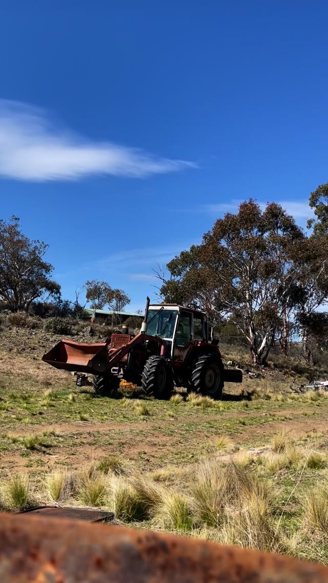 Tractor therapy in full swing. 🚜 Fixing roads, filling the tipper, backfilling old erosion around a cabin. A little of what keeps this place ticking over. #lappifarm #farmlife #tractortime #desinationjindabyne