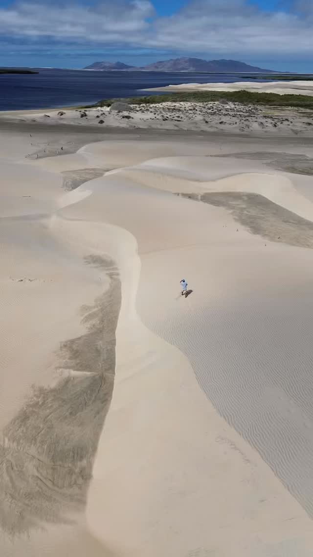 Así luce desde el cielo nuestro campamento en Bahía Magdalena ⛺️🌊✨
Un lugar rodeado de dunas, manglares y mar abierto, donde la naturaleza es la protagonista.
Las tomas aéreas nos muestran la inmensidad… pero vivirlo aquí, bajo las estrellas, es otra historia. 🐋💙
👉 Ven a descubrirlo con Murillos Bros Adventours.
#BahiaMagdalena #PuertoSanCarlos #BajaCaliforniaSur #EcoturismoMexico #CampamentoEcoturístico #IslaMagdalena #ToursBaja #MurillosBrosAdventours #NaturalezaBaja #AventuraBaja #WhaleWatchingMexico #Manglares
@djimexicooficial