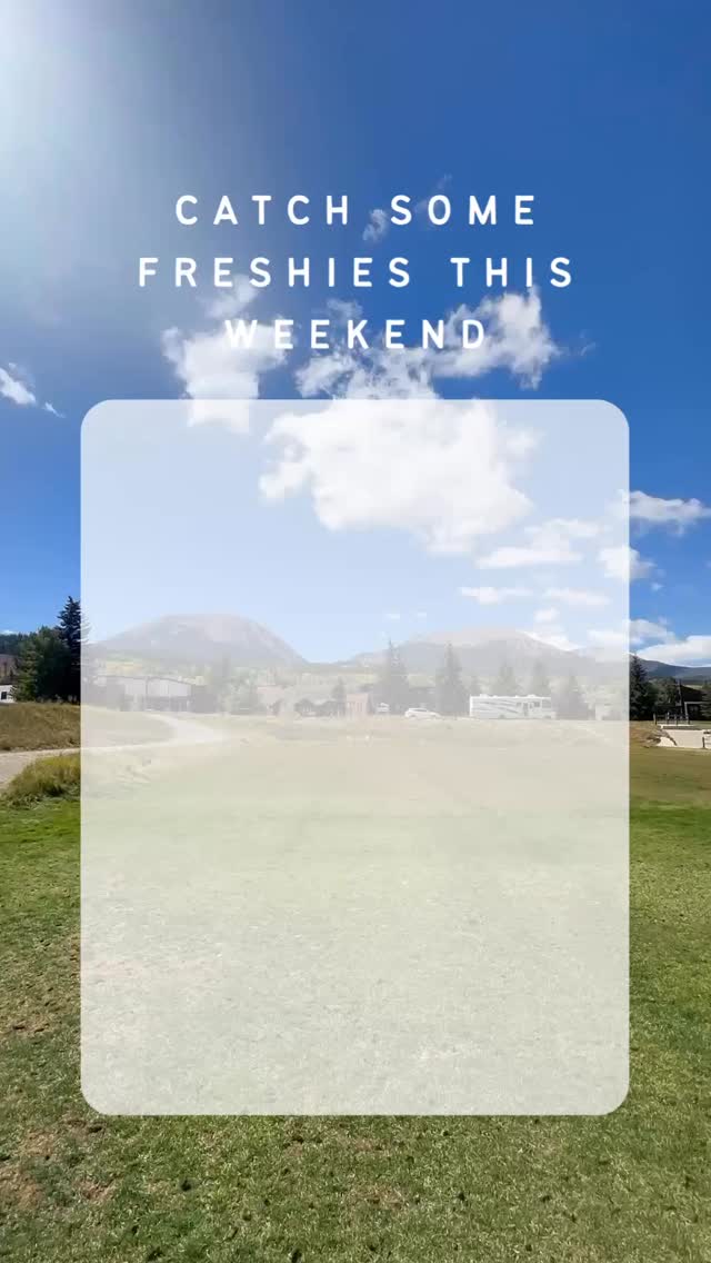 🍓 Catch Some Freshies 🍓
Schedule for 9/19-9/21
Friday - The Block - 10-4
Saturday - Frisco for Run the Rockies - 9-11
The Block 12-4
Sunday - The Block 10-2**
**I am closing early this day
#smoothies #healthy #leafpeeping #silverthorne