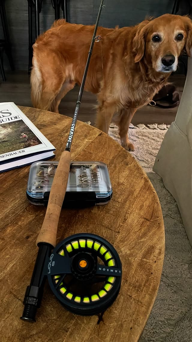 Trading in deadlines for wet flies and a happy pup 🐟🐾
#FlyFishing #BattenkillRiver #GoldenRetriever #AdventureDog #RiverLife #FishingTherapy #NatureHeals #WeekendReset