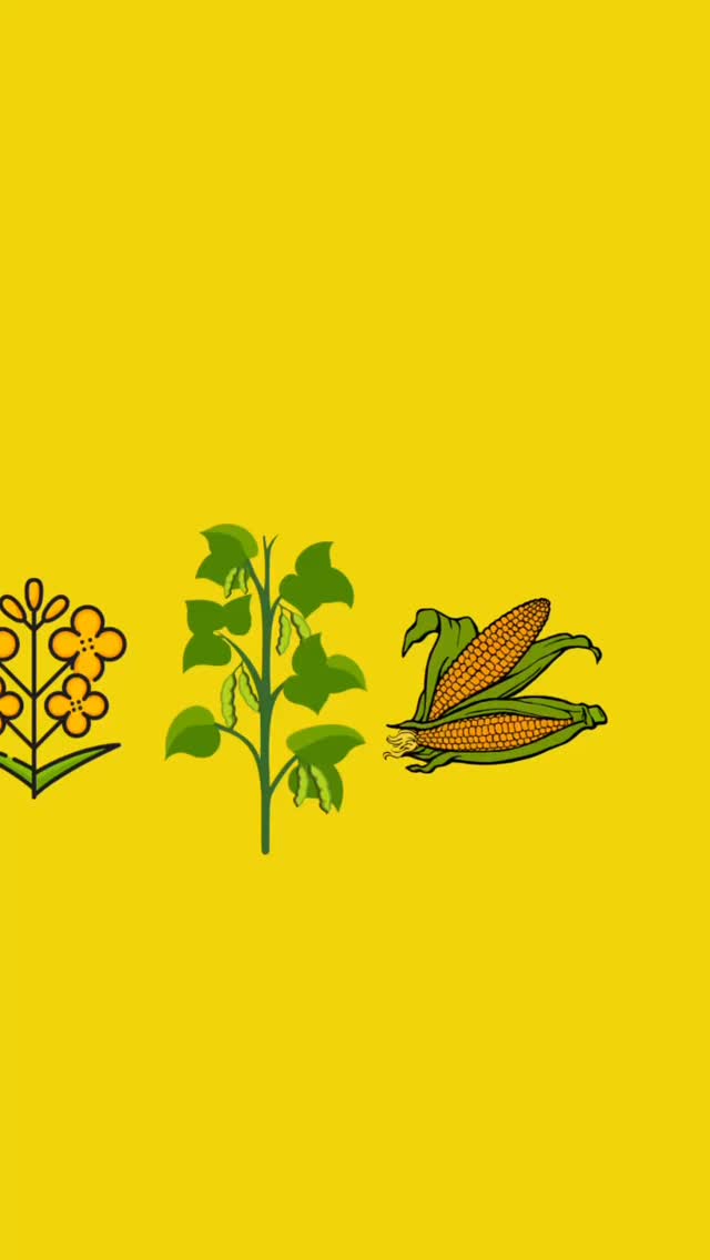 ⚡️ More seed savings! When you buy DEKALB seed from your local Portage Agri-Sales location you’ll be earning harvest rewards that give back! Come see us before October 31st and get your 2026 crop year off to a great start! Find out more information at www.DEKALBRewards.ca