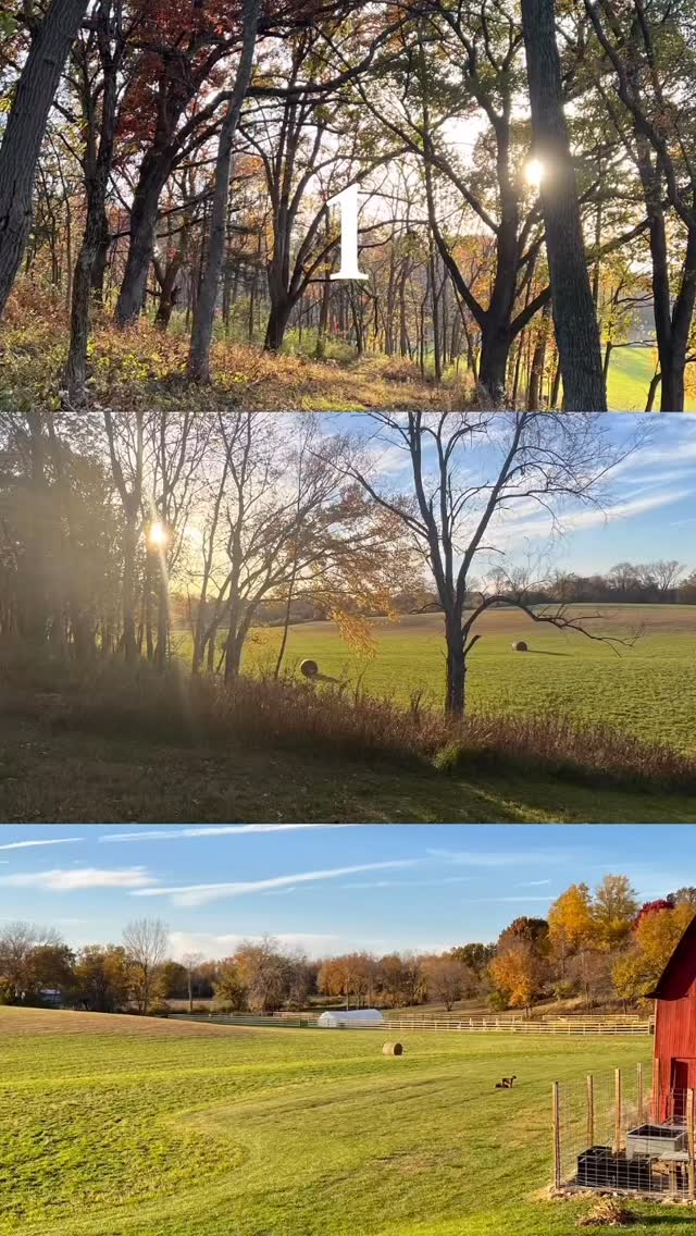 Fall is here,and so are we. Let’s make the most of the season together 🌾 #LandManagement #PrimeHabitat