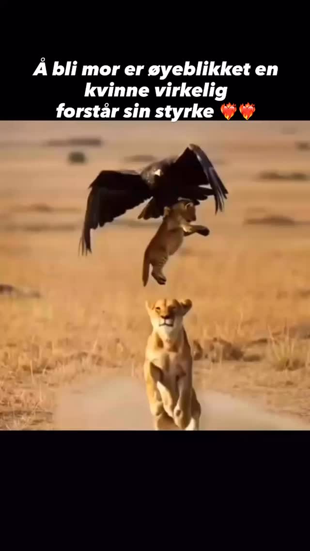 ❤️🔥❤️🔥