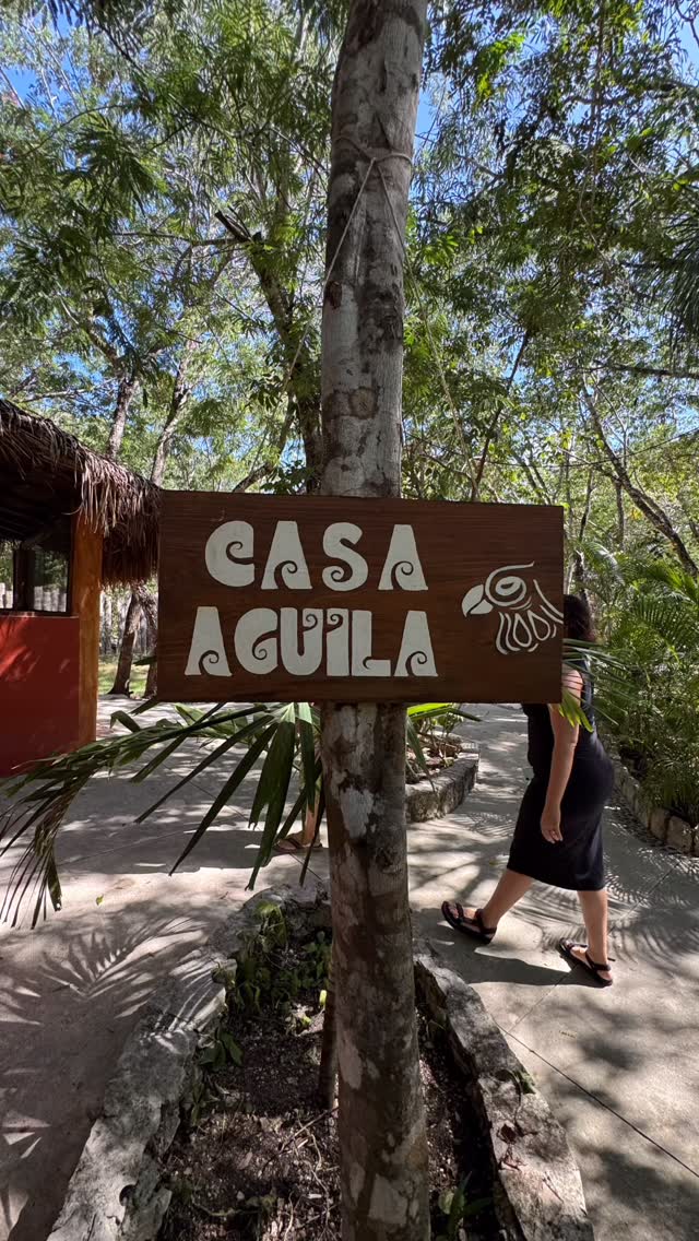 Retreat magic doesn’t have to come with a big price tag! 🌟
Our 𝐖𝐨𝐦𝐞𝐧’𝐬 𝐋𝐨𝐟𝐭 in 𝑪𝑨𝑺𝑨 𝑨𝑮𝑼𝑰𝑳𝑨 offers a budget-friendly, community-style space - similar to the Dorm offering we’ve had at past retreats!
The Loft offers a shared bathroom and bonus living space. There is no A/C, but there are ceiling fans and electricity just as there is in the rest of the house. The Loft is open air but has mosquito netting all around, and offers beautiful views of the property.
It’s perfect if want the full luxury experience at a more accessible price point at just $1699! ☀️
Claim your spot before it sells out - the rest of the rooms in 𝑪𝑨𝑺𝑨 𝑨𝑮𝑼𝑰𝑳𝑨 are already booked!
#ivystandardyogaretreat #tulumretreat #yogaretreat