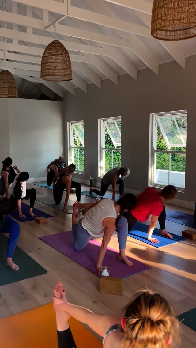 We were riding a bit of a high all weekend after our co-led class on Friday ✨
We grounded, we flowed, we soared together 🪽
Thank you to everyone who came — for bringing your presence, your energy, and your heart into the space. Grateful for this practice, for these connections, and for the beautiful community we get to be a part of 🫶
Can’t wait to do it again soon!
Caity and Katey
Xx
