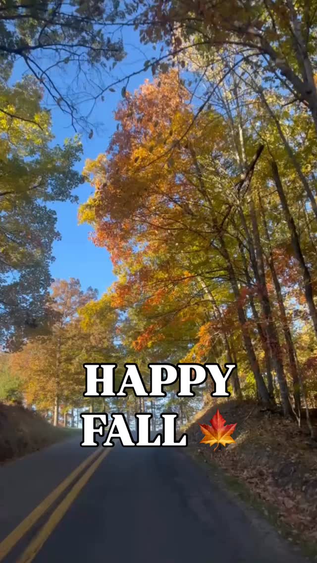 Happy Fall, yāall!
Here in Summers County, that means crisp air, glowing leaves, festivals, fires, and plenty of backroad drives.
Bring your favorite travel buddy and come soak in the colors, the charm, and the adventure waiting around every turn.
#AlmostHeaven #ExploreSummersCounty #FallVibes #visitwv #gotowv