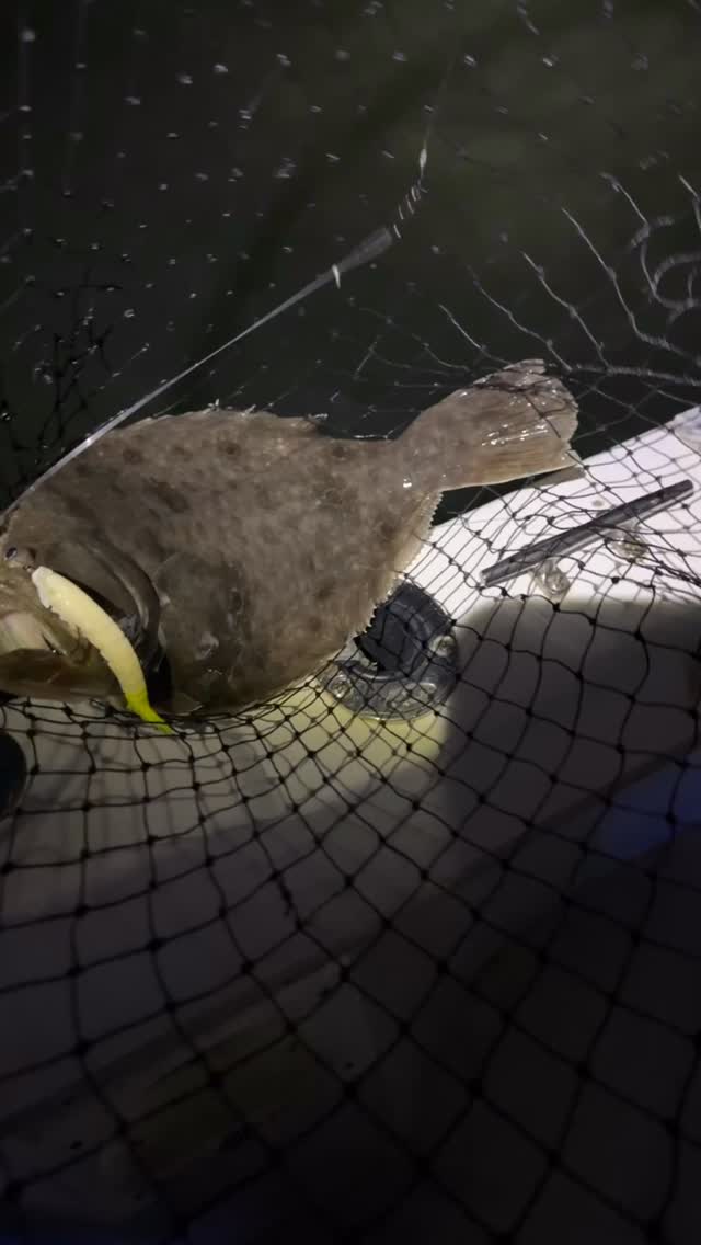 We want to take a minute to reflect and thank every single person who fished with us this flounder season!!! What a season it was!!!
•
•
•
💻www.nev-r-enufsportfishing.com
☎️609-254-2763
➡️neverenuf2@aol.com
#nevrenuf #nevrenufsportfishing #fishingcharter #avalon #newjerseyfishing #avalonnj #coolerbyamile #familyfun #fishing #fish #flounder #fluke #flukefishing #flounderfishing #summerseason #summer2025 #fishingreport #catchoftheday #ocean #fishingtrip #gonefishing #newjersey #jerseyshore #keepers #freshcaught #dusky #boatlife #njfish