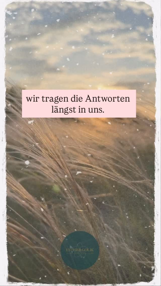 Uraltes Wissen neu verkörpert.
Wir tragen die Antworten längst in uns – weitergegeben durch Generationen, gespeichert in jeder Zelle. 🌱
Das „Neue“ ist nicht immer neu. Es ist das Erinnern.
An Rhythmen. An Klang. An Pflanzen. An das, was jenseits von Leistung und Perfektion liegt.
✨ Wenn wir uns wieder verbinden, wird Wissen zur verkörperten Erfahrung.
Und Heilung beginnt nicht im Kopf – sondern im ganzen Sein.
Frage an dich:
Wo in deinem Leben spürst du, dass du dich an etwas „Altes“ erinnerst?
👉 Ich lade dich herzlich ein, deine eigenen Momente von „Erinnerung“ mit uns zu teilen. 💫💛
#uraltesWissen #Frequenzen #Selbstfürsorge #Selbstwahrnehmung #perspektivwechsel