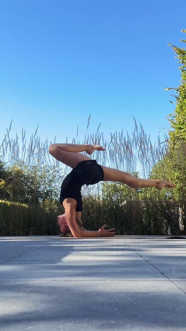 Taking a moment to play with shapes and ground before teaching in Luxembourg @houseofom.strassen this weekend.
A big thank you to @francoise_wagner for welcoming us into your beautiful home.
Feeling so grateful for the opportunity to travel and share what I love with communities around the world. ✨
#luxembourgyoga #houseofom #backbendsandinversions #backbending #backbendtraining #backbendshapes #shouldershapes #flexibilityart #theartofflexibility #contortionshapes #pinchashapes