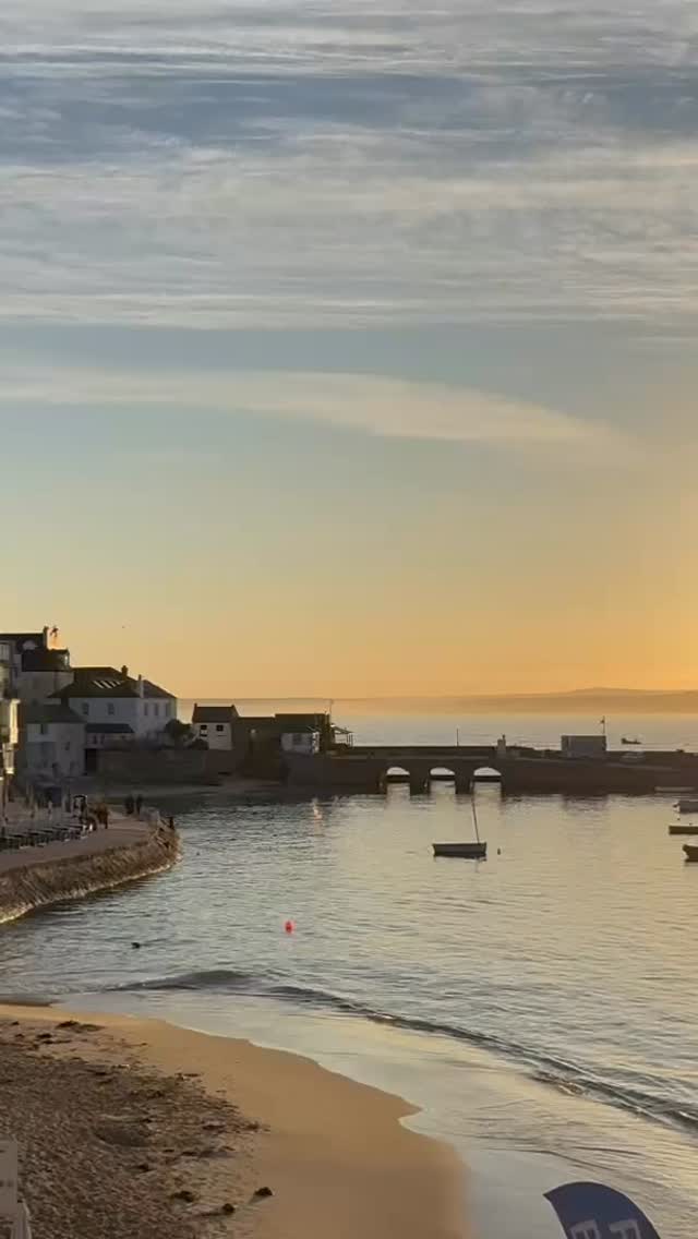 Good morning from St Ives and my new friend