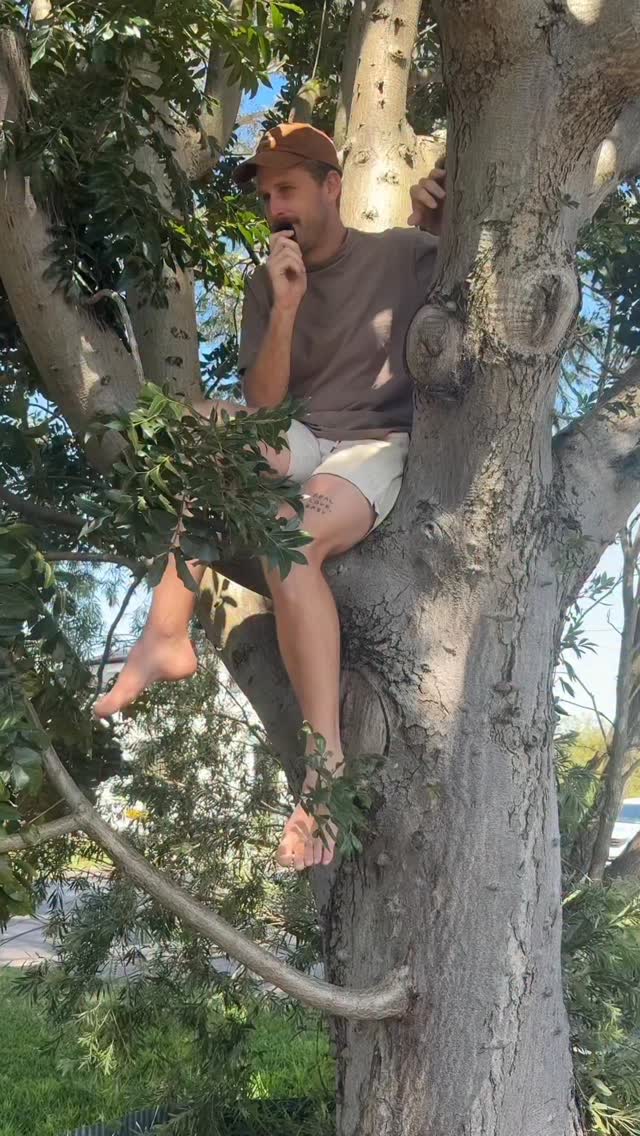 I got my point across, right?
Basically, get on it.
#weddingcelebrant #funcelebrant #wedding #celebrant #huntercelebrant #huntervalley