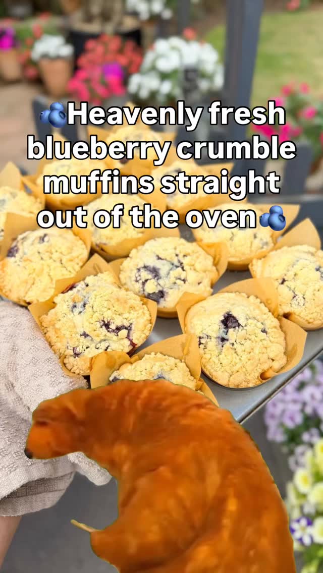 One of the best smells ๐๐๐
