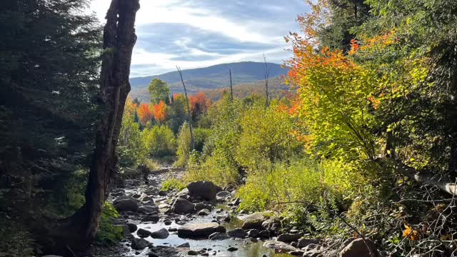 We’re soaking up early season in the North Country. Enjoying a hot lunch and a fresh brewed cup of coffee in the woods is just what we need at mid day. And thank you Willow for delivering the first grouse of the season.