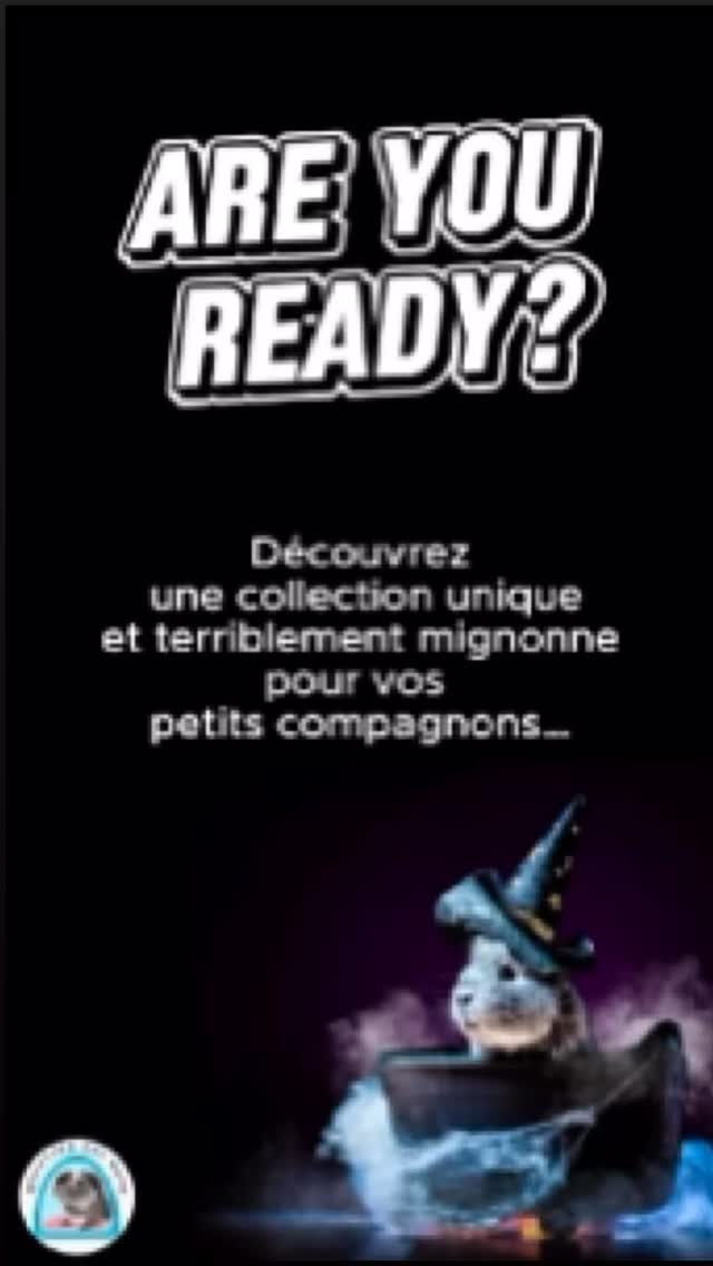 👻 La magie d’Halloween s’invite chez vos petits compagnons ! 🎃
⸻
🐹 Découvrez notre série limitée Halloween en polaire blizzard fantômes (fond rose) & polaire uni blanc… conçue pour le confort ET le style de vos loulous.
Au programme :
🛋️ Un canapé ultra douillet
🌟 3 mini pads pratiques
🐹 Un coussinet en forme de cochon d’Inde
👻 Le fameux Ghost Pad exclusif
🎃 Des coussins ronds
🍽️ Un pad spécial gamelle
💧 Tous équipés d’un super absorbant : moelleux, antifongique, anti-acariens, anti-moisissure et traité antimicrobien.
👉 Résultat : confort garanti pour vos compagnons et tranquillité pour vous.
⚡ Attention : série très limitée, disponibles dès maintenant sur le site. Ne laissez pas vos fantômes disparaître !
⸻
💌 Abonnez-vous à @quartier_des_nacs pour ne rien manquer et partagez ce réel pour aider d’autres amoureux des NACS.
🎥 Et dites-nous en commentaire : lequel de ces modèles est votre coup de cœur ?
⸻
🌿 Prenez soin de vos animaux avec Quartier Des Nacs 🌿
#cochondinde #lapin #animauxdecompagnie #quartierdesnacs #accessoireanimaux #Halloween