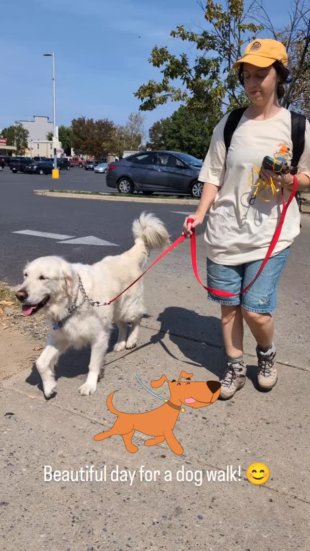 Pant Dog Walkers 😊