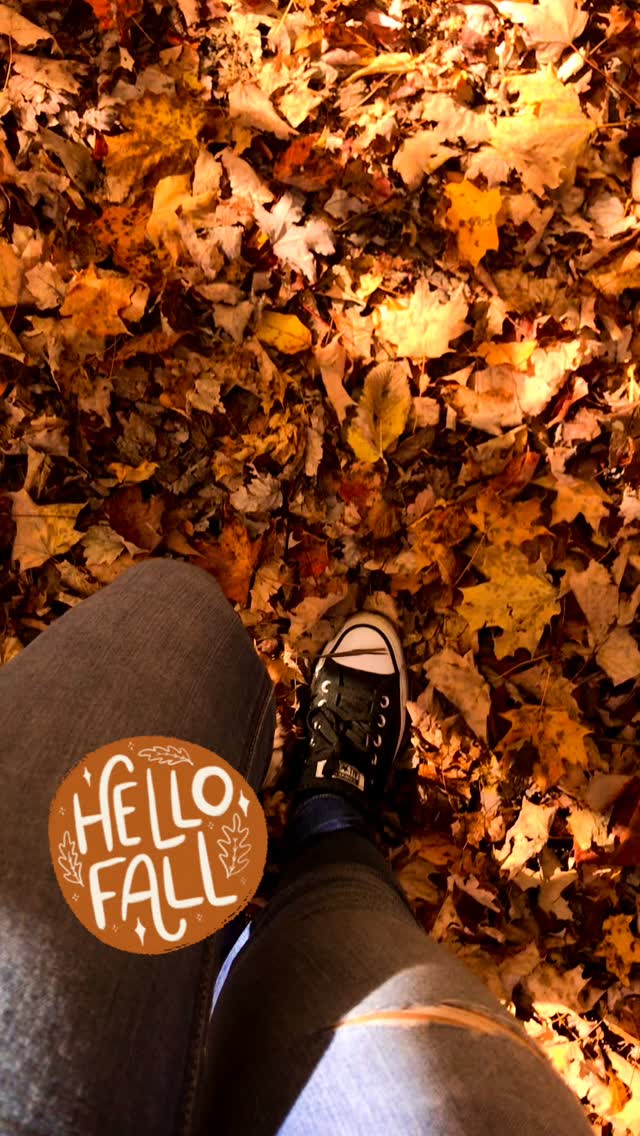 🍂 🍁 Hello Fall! 🍁 🍂
📍Hatches Corners Metropark
5348 Center Rd, Conneaut, OH 44030
#visitconneautoh #conneautohio #hatchescorners #ashtabulacountymetroparks #fall #autumn #hiking #trails