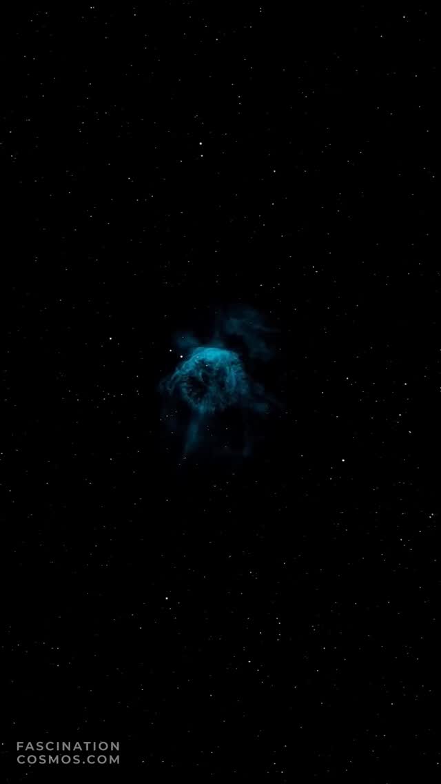 Wolf-Rayetstern WR 134
WR 134 ein echter Exot, ein Wolf-Rayet-Stern. Der Name, Wolf und Rayet? Das waren die Typen, die Mitte des 19. Jahrhunderts bei der Beobachtung von Sternen im Schwan plötzlich Spektren sahen, ungewöhnlich, spektakulär. Das musste eine neue Sternenklasse sein: die Wolf-Rayet-Sterne! Und WR 134 ist so einer. Ein veränderlicher Wolf-Rayet-Stern. Aber was macht den so besonders? Der ist sagen wir mal im Stress, das sind Sterne, die sind am Ende ihres Lebens angekommen oder kurz davor. Die pusten ihre äußeren Hüllen geradezu ins All hinaus mit irrsinniger Geschwindigkeit, über 1000km pro Sekunde, ein Sternenwind, der es in sich hat! Und dieser Wind, diese Materie, die da rausgeschleudert wird, die bildet um den Stern herum so eine Art Blase, einen Blasennebel, der auf dem Bild dann durch die Langzeitbelichtungen mit meinem OIII-Filter so wunderbar zartbläulich zu sehen ist. Und der Stern selbst? Der ist nicht riesig vom Durchmesser her, so fünffacher Sonnenradius, geht also. Aber die Temperatur: über 63.000 Kelvin! Zum Vergleich: Unsere Sonne hat an der Oberfläche um die 5.500 Kelvin. Dieser WR-Stern ist also brutal heiß. Und weil er so heiß ist und so viel Energie in das ihn umgebende interstellare Gas und den Staub rausballert, ist der auch 400.000-mal heller als die Sonne! Das sind also keine gemütlichen Sterne mehr, das sind, sagen wir mal die Rockstars unter den Sternen: extrem, kurzlebig, und sie gestalten ihre Umgebung ganz aktiv mit.
Aufnahme: Lacerta Newton 12", 1200mm, f/4, QHY268M Monokamera mit 7 Filtern, QHY OAG-Nachführung ASI-174MM-Mono, SestoSenso2-Fokusser, Celestron CGX. 21 SH-Filter zu je 600s, 8 OIII Filter 20 Minuten, 20LRGB Aufnahmen mit je 120s, etwas mehr als 4 Stunden Aufnahmezeit. Mit Astro Pixel Prozessor, Pixinsight, Adobe PhotoShop verarbeitet und das Bild als Video animiert und vertont.
© 2025, Bestellung von Kopien und Bildern gerne unter https://photo-portal.shop/profiles/fascinationcosmos.com/#/ oder per Nachricht an mich.
#fascinationcosmos #faszinationkosmos #franzrettenbacher #astrophotography #astrofotografie #astrophoto #astrofoto #deepsky #qhy268m #CelestronCGX #deepspace #WR134 #WolfRayetstern