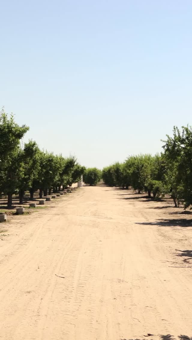 Rodents donโt stand a chance when Caddyshack is on the job.๐๐ฅ #caddyshack #rodentcontrol #rodents #caddyshackrodentcontrol #farming #pestcontrol #caddyshackcrew #rodentfreefields #protectyourcrop #farmsolutions