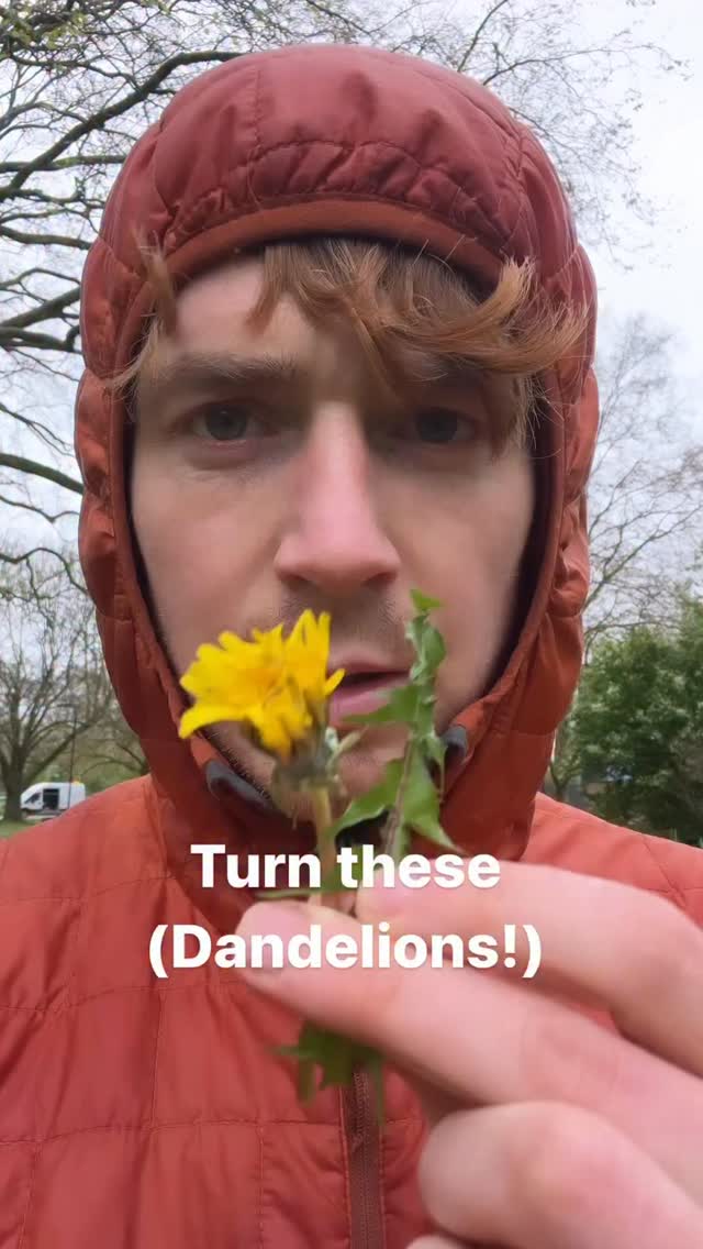 Follow @mindinnature for nature inspiration! I’m on a mission to help people connect with nature, rebuilding these lost relationships that can be so beneficial for us, as well as the world around us.
This recipe uses all parts of the dandelion (Taraxacum officinale), a plant that most consider a weed, but actually has numerous health benefits and a huge nutritional profile. People have been using this plant for millennia, yes this recipe might be a bit extra for some, but it’s such a common plant, you might as well give one of its parts a taste!
Follow for more recipes, foraging tips and nature inspiration
#foraging #dandelion #recipe #mindfuleating #weirdfood #foodexperiment #plants