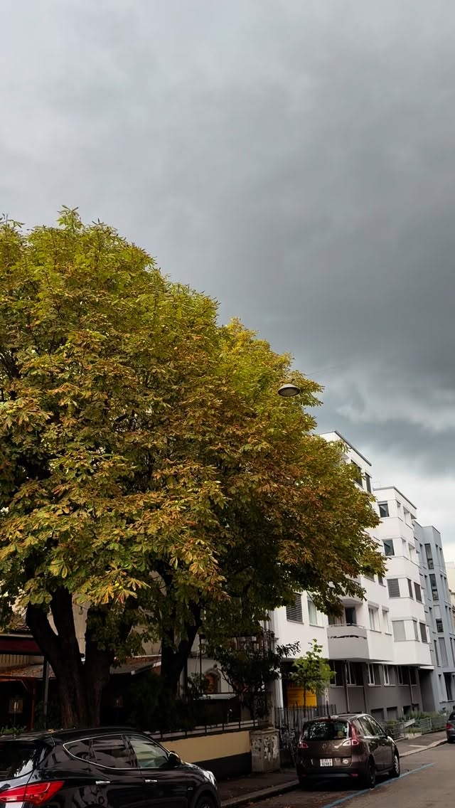 Herbst im frühling 🍂
Ab jetzt haben wir jeden Tag bis 18:30 Uhr geöffnet.
#frühling #caféfrühling #coffee #autumn #fall