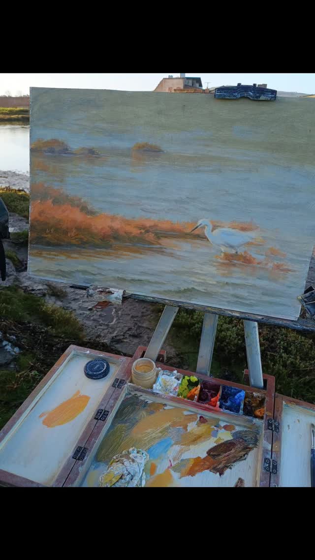 Little Egret at Cemlyn. The tide rose fast so I had to work on this over a couple of days. I refined it in the studio afterwards working mainly from memory and photo references, taking it as far as I could. I worked on it a second morning to bring more texture into the painting whilst sticking with my original colour harmony and atmosphere as no two days are ever quite the same!
Currently on show @orielynysmon until October 12th. Llangefni, Anglesey.