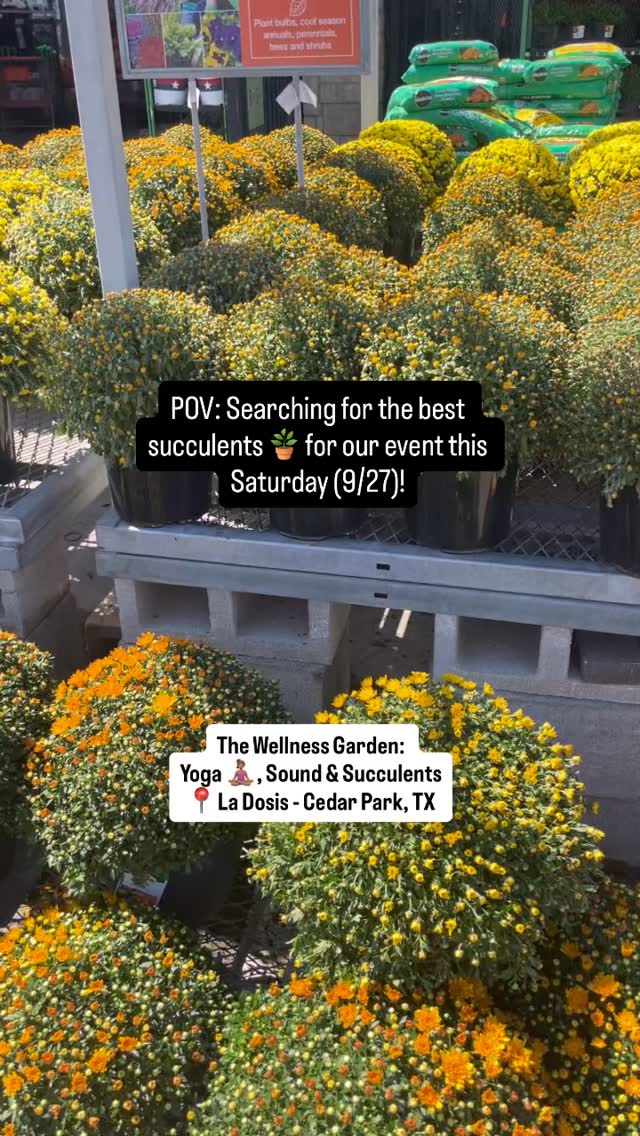 We had so much fun shopping for YOUR plants 🪴! We’re counting down the days until Yoga, Sound + Succulents!
Join @inspiringwomen.today and @yogaisforevery.body, for a special event “The Wellness Garden: Yoga, Sound & Succulents for a Cause” on Saturday, Sept. 27th.
We’re coming together at the vibrant @ladosiscoffee for a morning of movement, mindfulness & community in support of fighting period poverty in Texas.
⏰ 9:40 AM - 12:00 PM
📍 @ladosiscoffee | Cedar Park, TX
🎟️ Limited space - grab your spot now via 🔗 in bio OR at yogaandsucculents.eventbrite.com
Grab a bite and/or a drink with a 15% menu discount from La Dosis!
Ticket proceeds support period poverty relief in Central Texas through Inspiring Women Today’s Hygiene Haven lockers! Bonus - bring a hygiene item to donate.
🪴 🧘🏻♀️See you on the mat!
#inspiringwomentoday #giveback #periodpovertyawareness #plantsofinstagram #yogaandplants #cedarparkevents #austintexas #plantlover #texasnonprofit #giveback #thingstodoincedarpark #visitcedarpark #thingstodoinAustin #yogaatx
#yogacommunity #supportlocaltx #endperiodpoverty #planttherapy