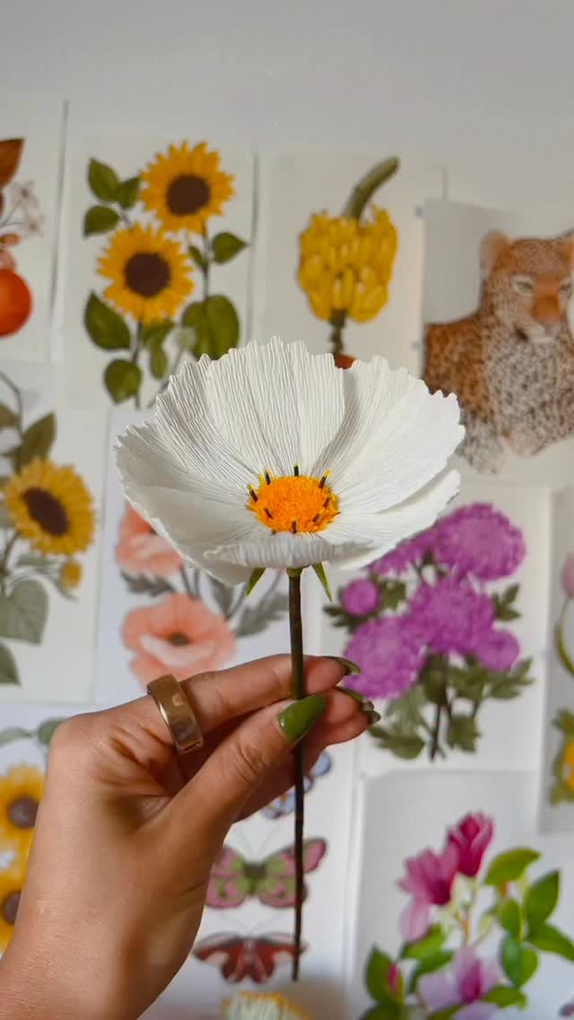 ✨Paper Cosmos by Florita Studio✨
This little paper gerbera has been living in my sketchbook forever and I finally got to make it for a special client 🌼
#crepepaperflowers #paperflowers #floritastudio #eventsmelbourne
