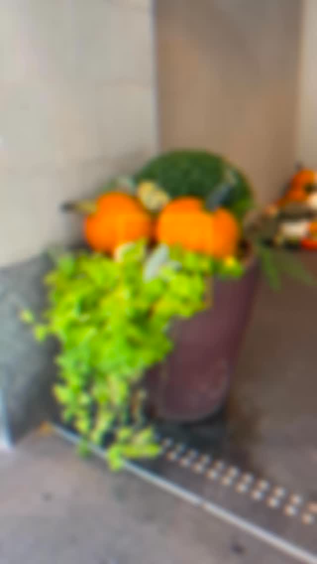 It doesn’t feel like fall in North Texas but today is officially Fall and we’ve been busy! 🎃🎃🍁🍂🍂 There is still time to place your order for pumpkin displays, give us a call! #pumpkinseason #fourseasonsporch #pumpkindecor #fallvibes