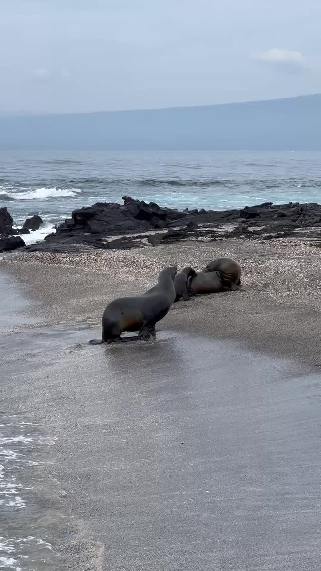 You are capable of more than you think. Start before you’re ready.
We often wait for the perfect moment, or the feeling of being “fully prepared” before we take that first step. But if you keep waiting for everything to line up, you might never begin. Starting before you feel ready means trusting yourself enough to learn along the way. Every success story started with someone who took a leap without knowing exactly how it would all work out.
So take the chance. Book the ticket. Begin the journey. You’ll be amazed at where it will take you once you get started.
#inspiration #myrooftopstories #takethefirststep