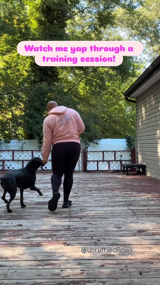Foundational leash work with Titi 🖤 She’s here with Unruffled Paws, booked through Wag Mates Academy, and today we’re focusing on the heel command — an essential building block for loose leash walking and calm, confident outings.
✨ Why heel matters:
• Encourages loose leash walking by teaching your dog to stay in sync with you rather than pulling ahead.
• Builds a predictable walking routine, giving your dog clarity about expectations and reducing confusion or inconsistency.
• Provides structure and builds engagement, helping dogs tune in to their handler even when the environment is distracting.
• Helps maintain neutrality in congested spaces (like busy sidewalks or parks), reducing reactive or overstimulated behavior.
• Promotes a more enjoyable and controlled walk for both dog and handler.
Titi’s already making great strides in learning how to walk calmly, focused, and right by my side. Proud of this girl! 🐾
#UnruffledPaws #WagMatesAcademy #BoardAndTrain #LooseLeashWalking #HeelCommand #DogTrainingJourney #CalmConfidentCanine #TrainingTipsForDogs #FocusAndEngagement #StructuredTraining #WMATiti