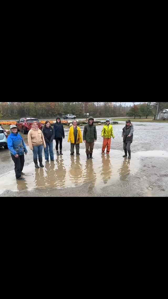 Listen to that splash! 💦
We’re all smiles on this much needed rainy day. 😁💚😁
:
#longviewfarmstand #nhfarming #letitrain #supportlocalfarms